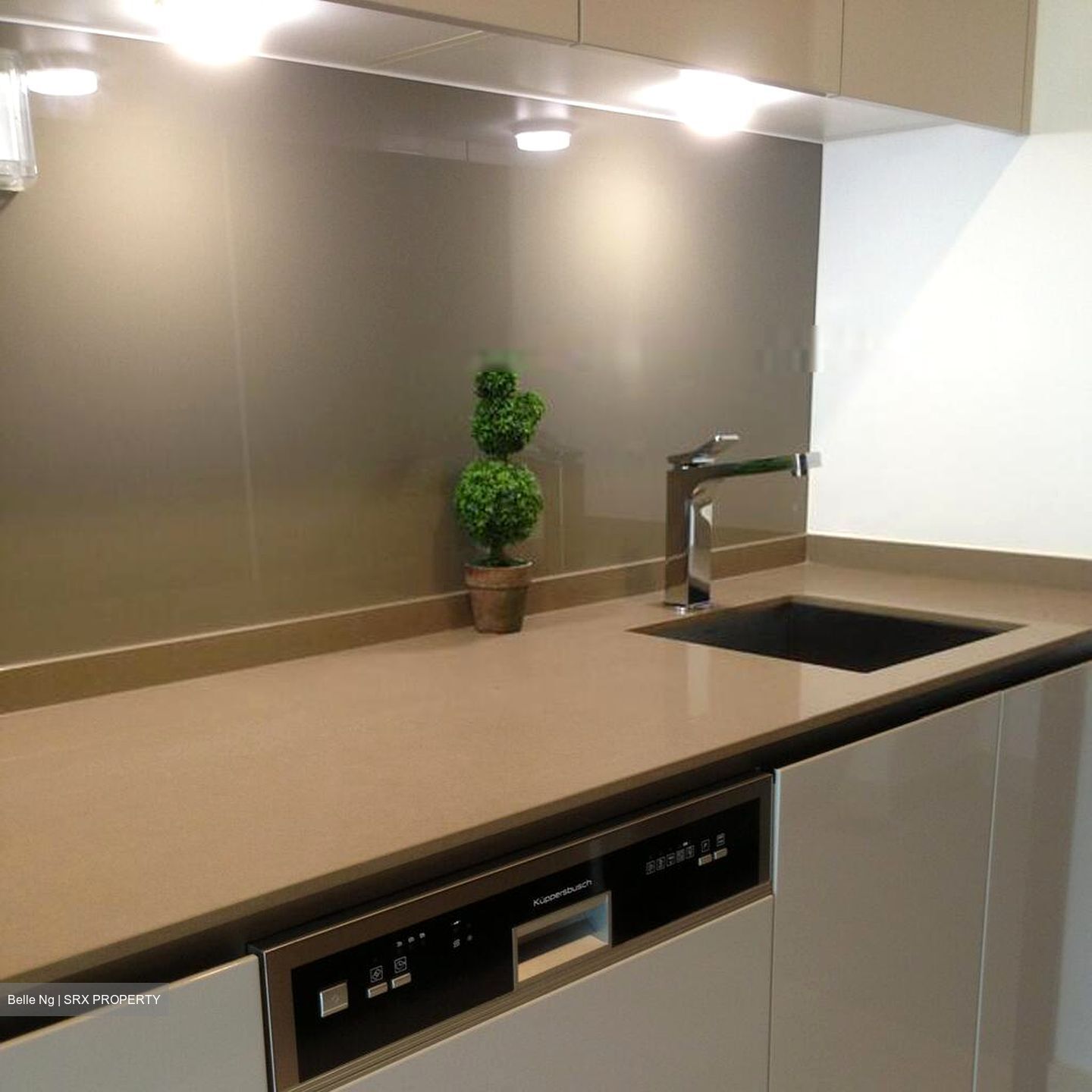 The Glyndebourne (D11), Condominium #604852351